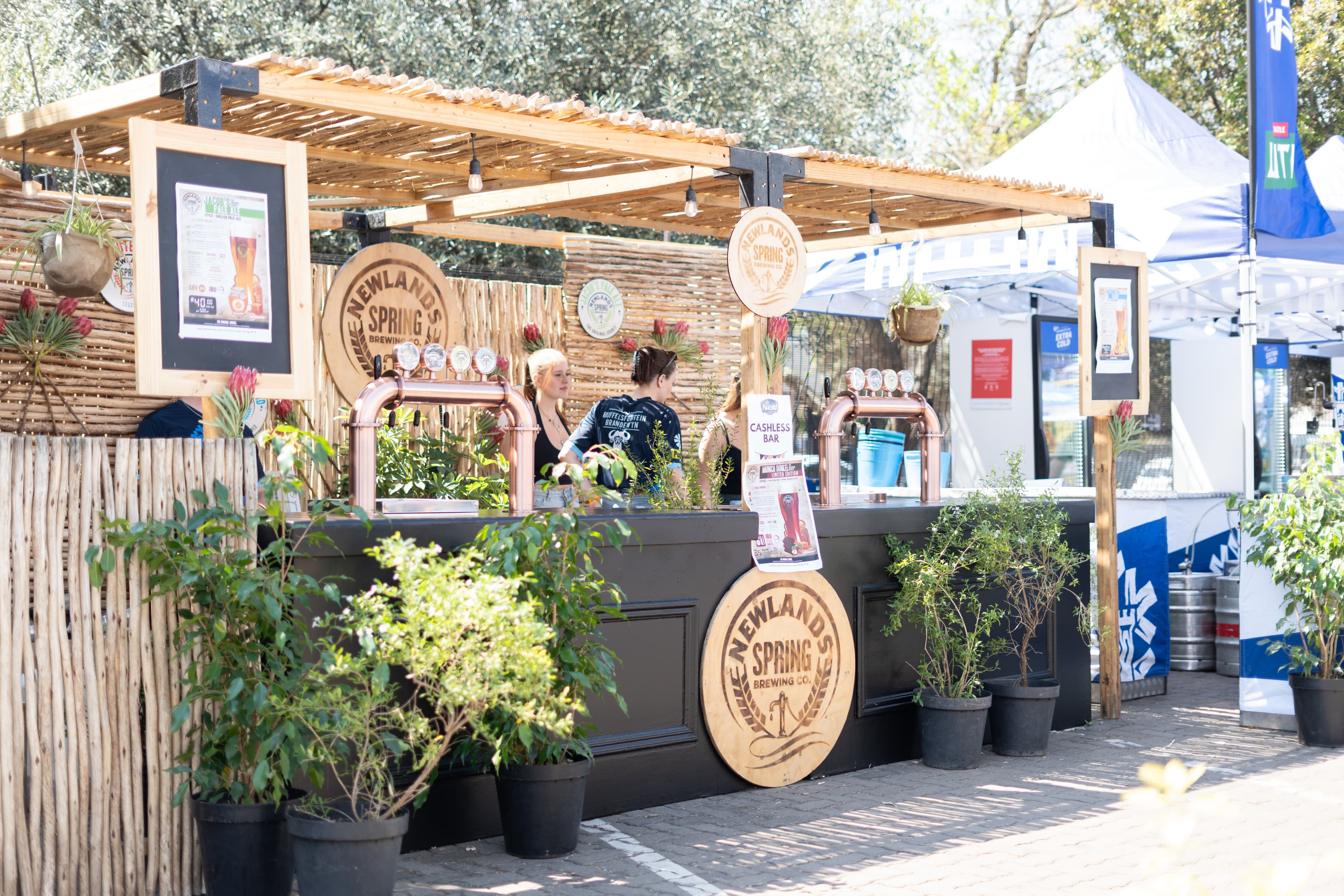 _DSC7210.jpg
